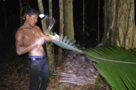 Guia ensina a sobrevivência na selva, Amazônia, 2014, por LP
