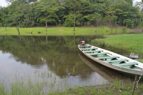 Canoa, principal transporte, Manaus, 2014, por LP